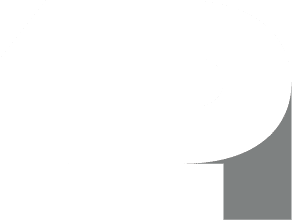 Power Alliance White and Gray Brandmark